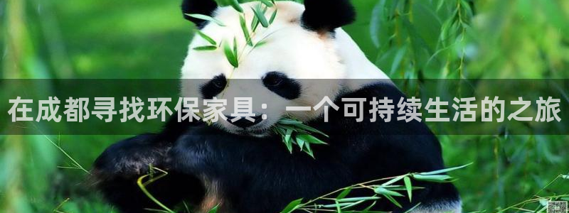 沐鸣2登陆测速：在成都寻找环保家具：一个可持续生活的之旅