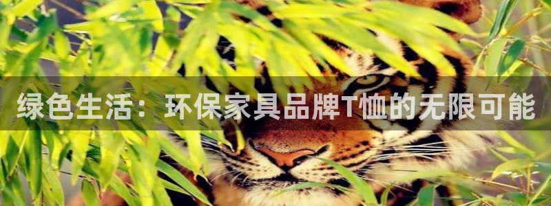 沐鸣2手机网页登录入口：绿色生活：环保家具品牌T恤的无限可能