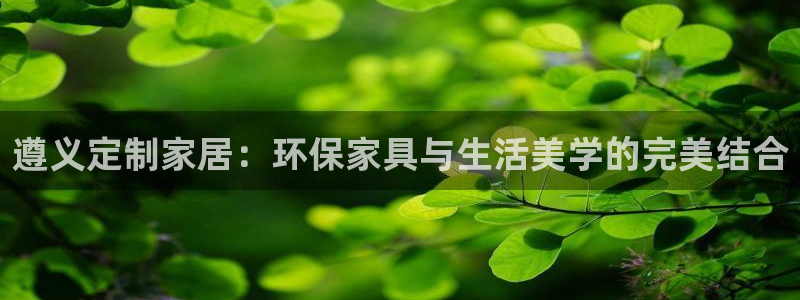 沐鸣2官网游戏：遵义定制家居：环保家具与生活美学的完美结合