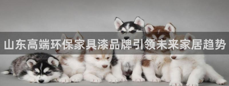 沐鸣2怎么注册：山东高端环保家具漆品牌引领未来家居趋势