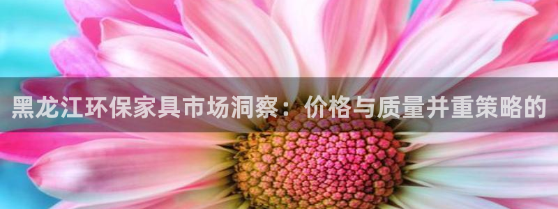沐鸣2平台娱乐：黑龙江环保家具市场洞察：价格与质量并重策略的